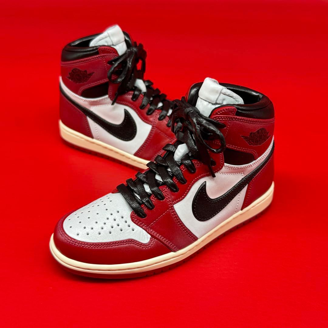 完成品 NIKE AIR JORDAN 1 MODEL KIT“Chicago”