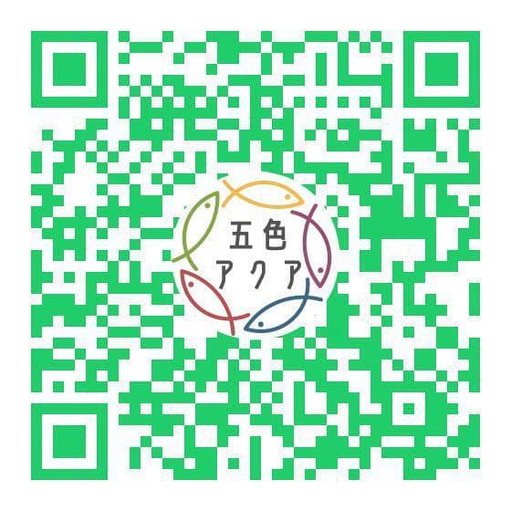 メダカ飼育ケース 36㍑x4個（4色あり）オーバーフロー対策済 金魚鉢ビオトープ