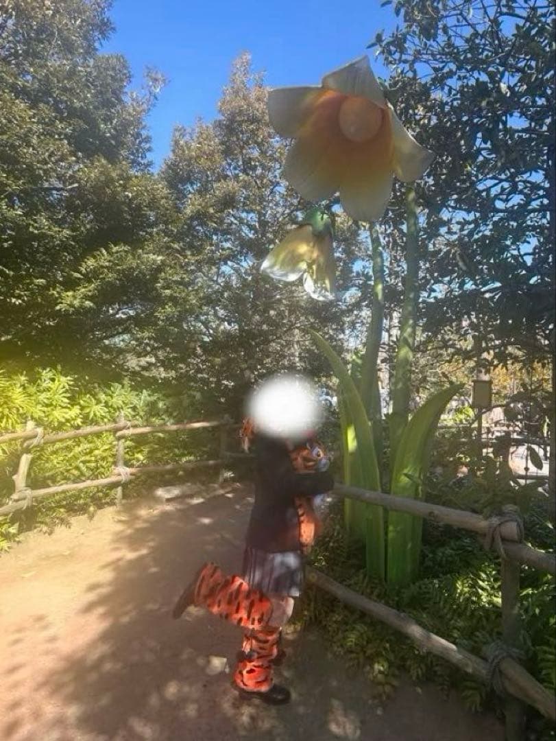 ティガー マフラー＆ルーズソックス セット