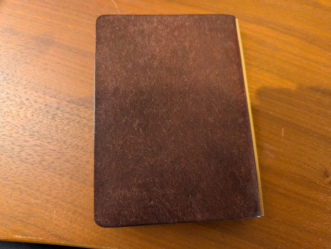 プロッター　プエブロ　ブラウン M6　シャーペンセット