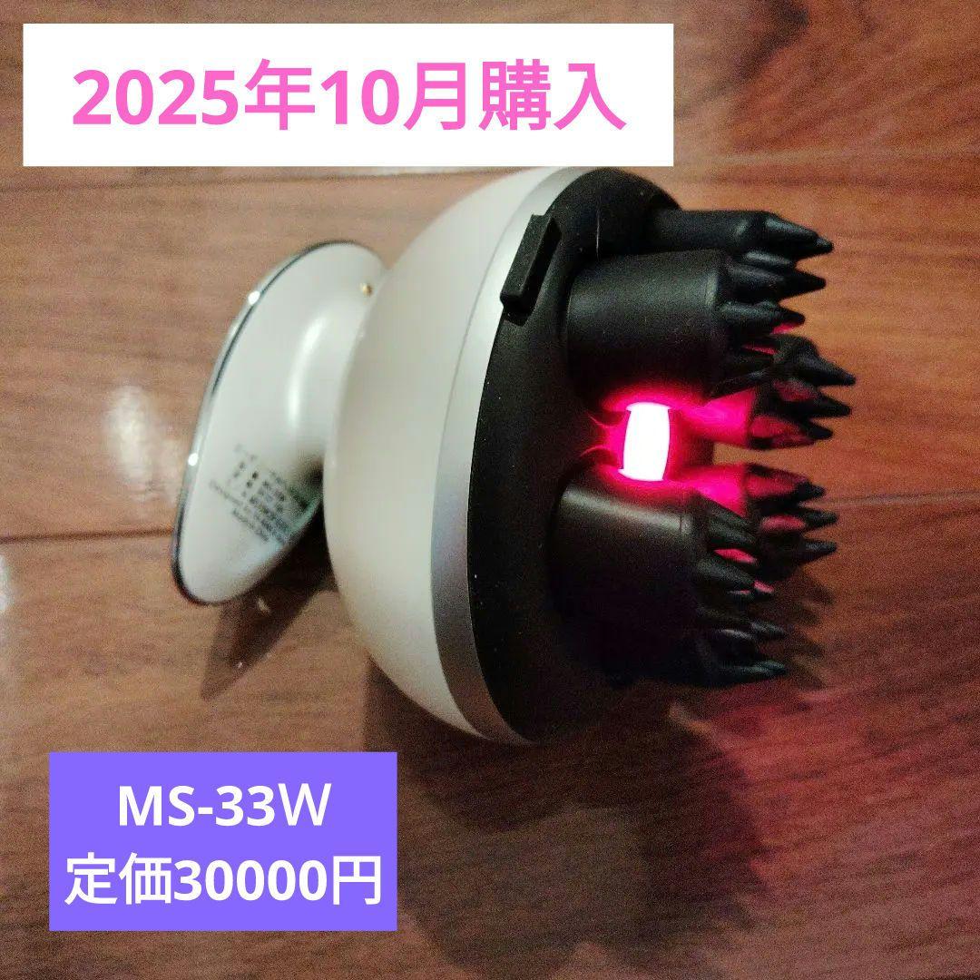 mysé ミーゼ ニードルヘッドスパ EMS (MS-33Ｗ)