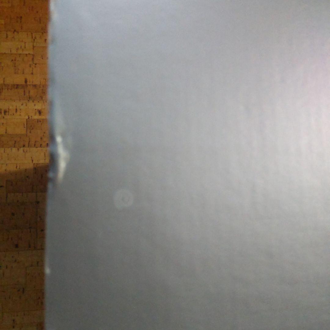 ナイトメア、ビフォアWOMAN IN JACK ⭐️1200限定版 フィギュア