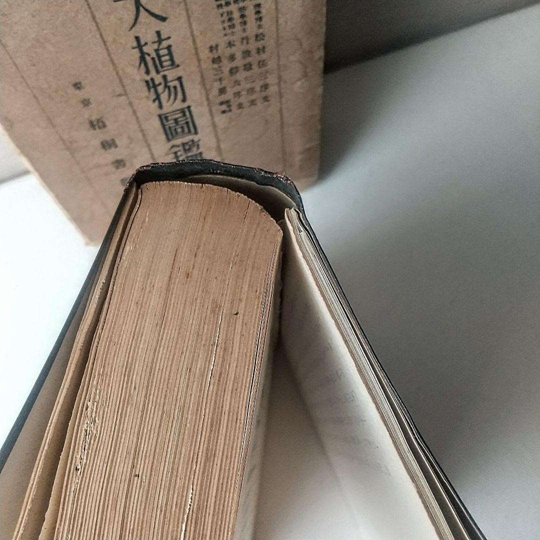 【戦前・初版本】大植物圖鑑　昭和十六年　らんまん・牧野富太郎ライバル　村越三千男