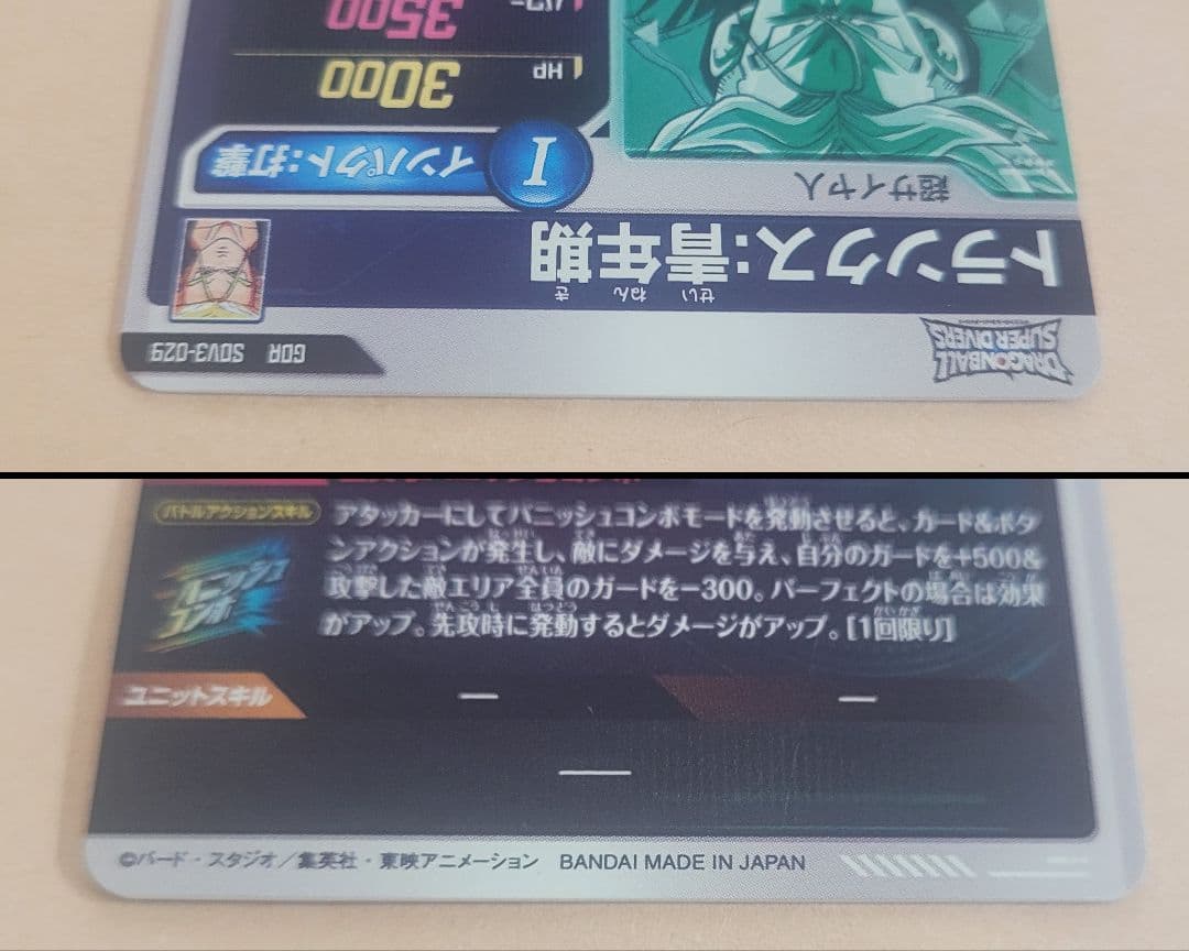 ひじき出品 SDV3-029 トランクス:青年期