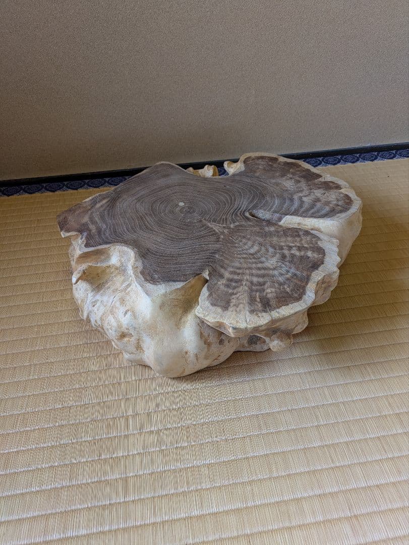 天然木　輪切り　飾り台　花台　床の間　自然形状の切り株