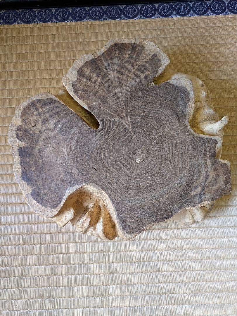 天然木　輪切り　飾り台　花台　床の間　自然形状の切り株