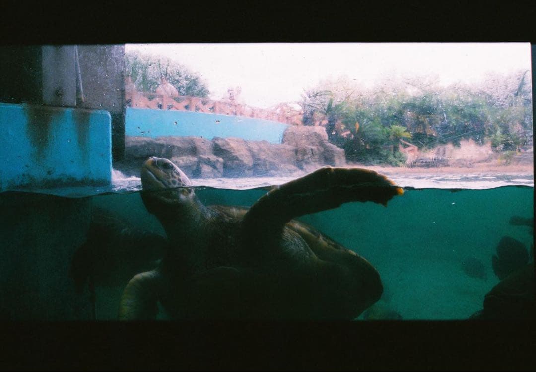 Nikon F70 一眼レフカメラ　AF Nikkor 28-80mm セット