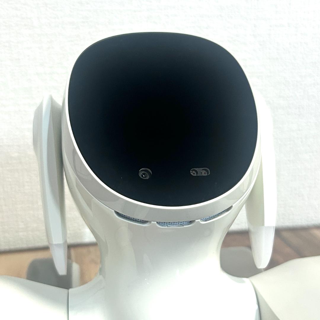 【24時間以内/送料無料】LOONA ルーナ ブルー ペットロボット セット
