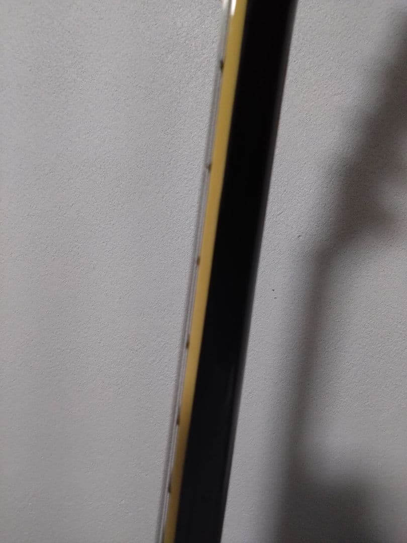 Photogenic フォトジェニック レスポール カスタム