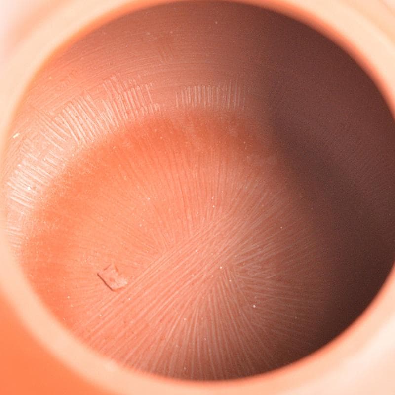 中国　紫砂　朱泥　葉文　急須　茶壷　在銘　C　R5760