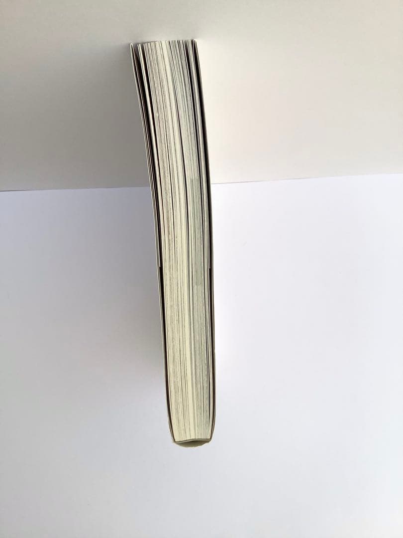 カンタ刺繍 そのモチーフと技法 望月真理