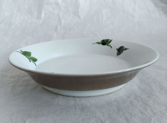 色絵磁器ふきのとう九寸皿 (豊福 誠 作)　未使用 新品同様