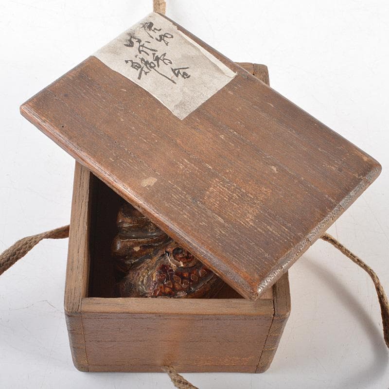 茶道具　唐物　漆塗　螺鈿装飾　魚　香合　時代箱　V　R6108