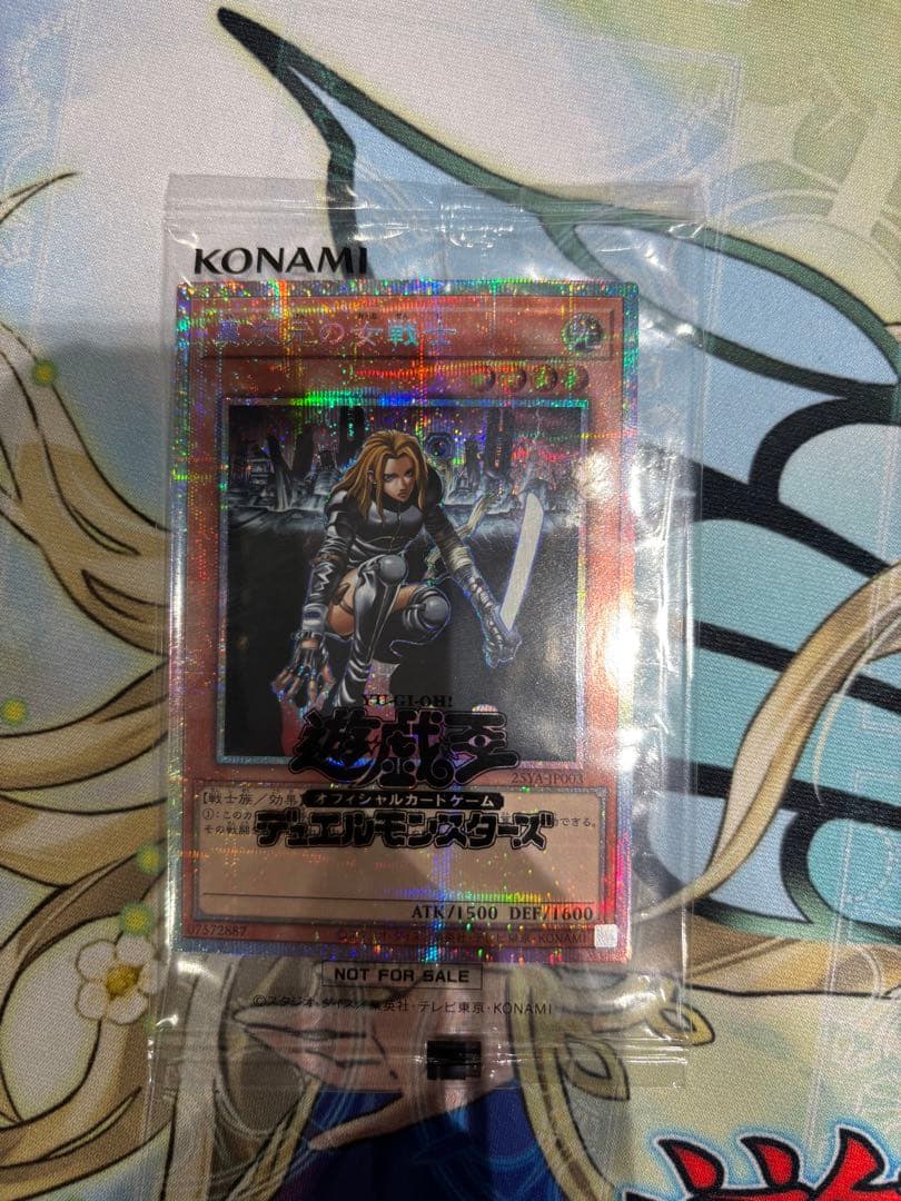 異次元の女戦士　プリシク　プリズマ　DKC上位賞