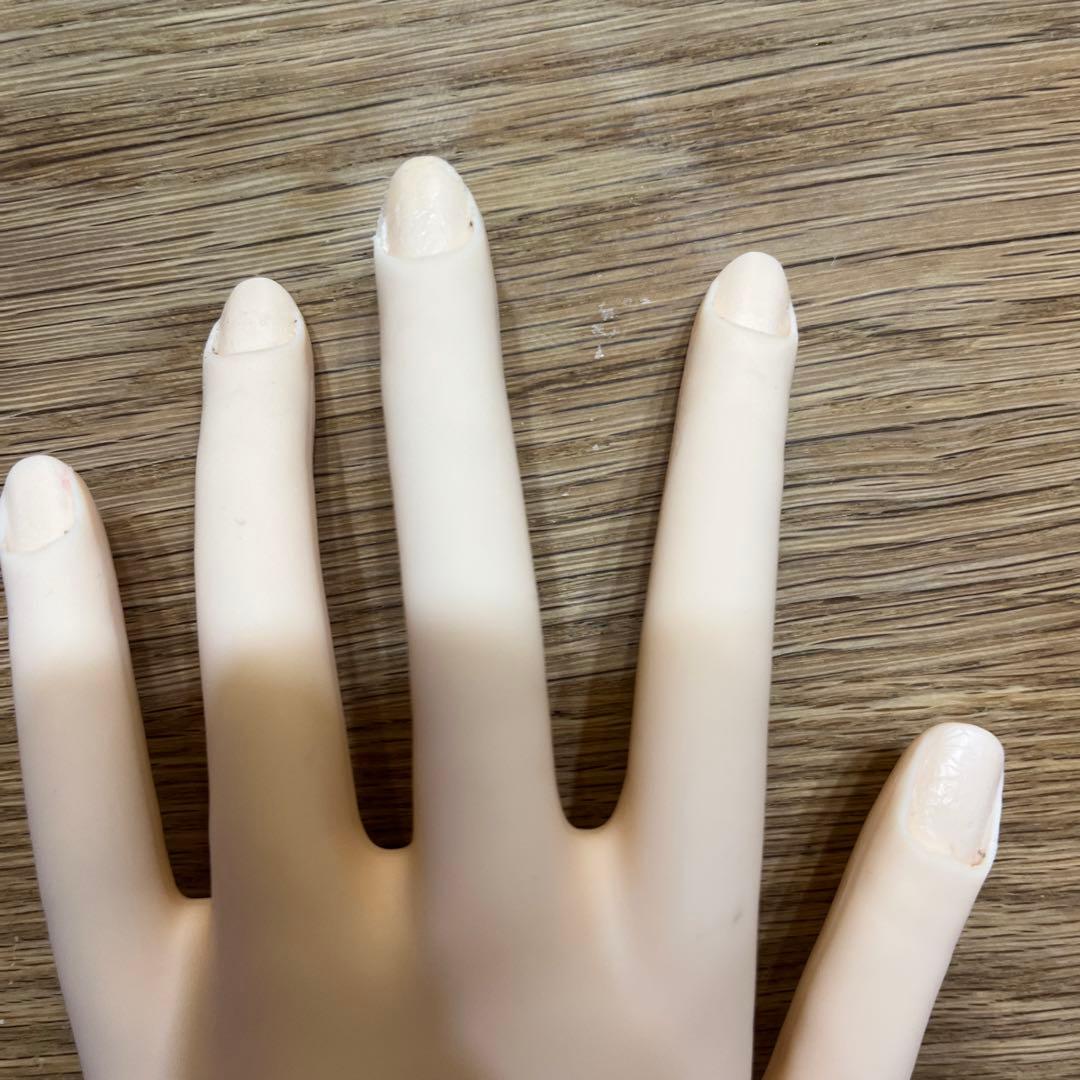 認定モデルハンド+ネイル検定一部セット