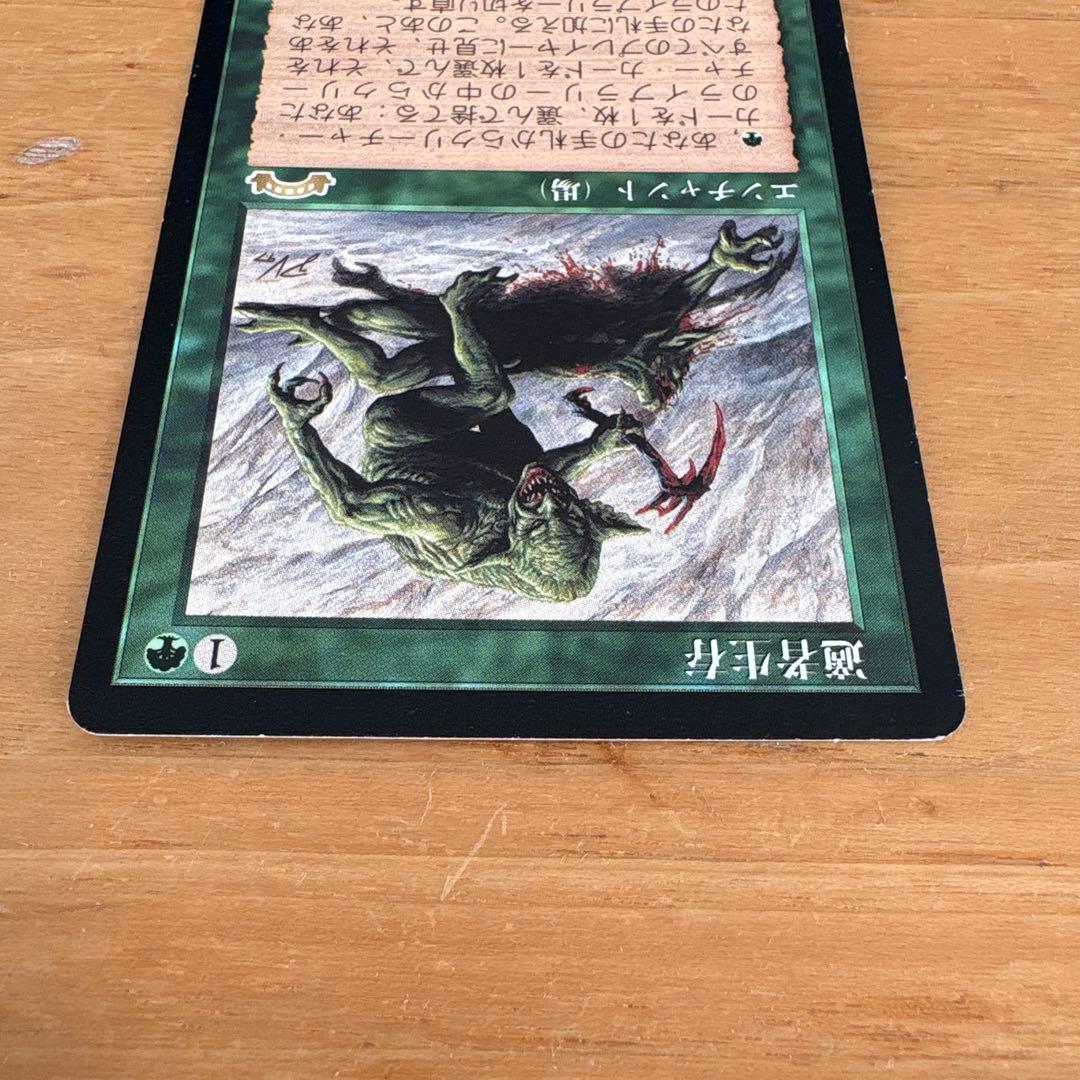 マジックザギャザリング 適者生存　MTG 日本語版 ギャザリング トレカ　EXO