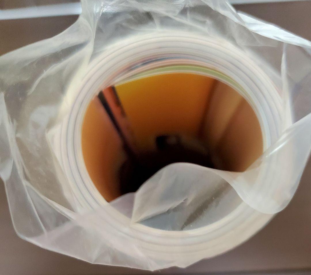 戦国乙女 ポスター 11種類 短冊ポスター