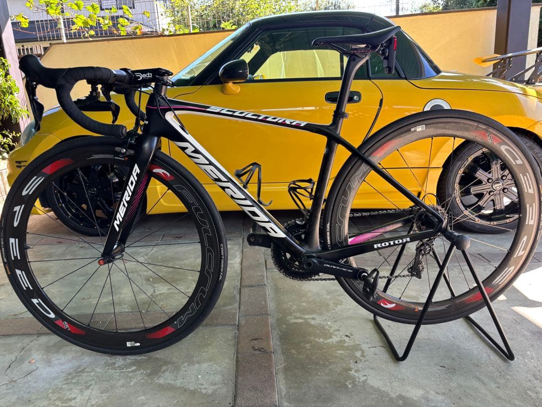 メリダ スクルトゥーラ チーム