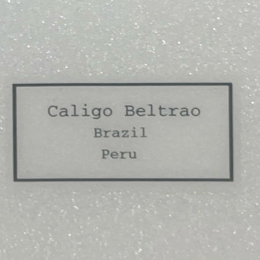 フクロウチョウ　額入り