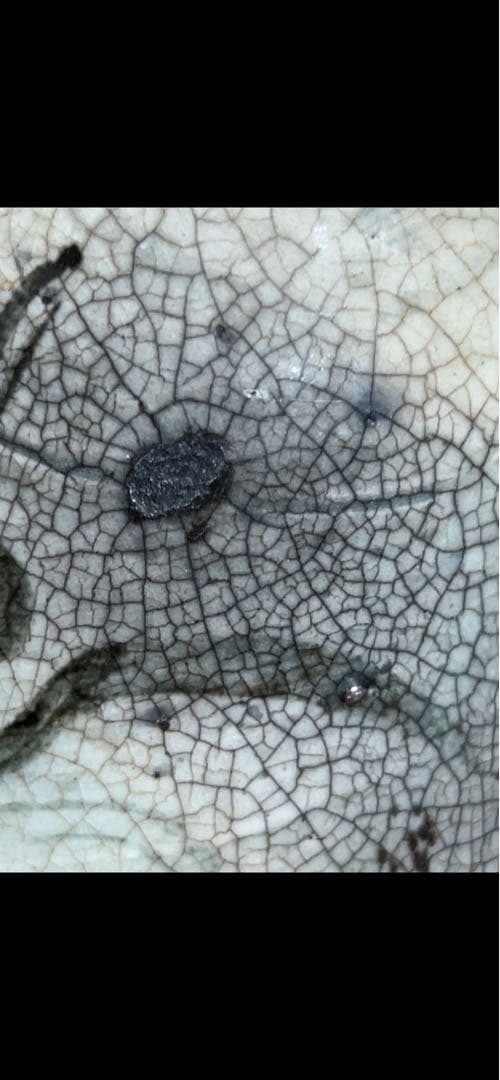 古い鶏龍山徳利(付属品　二重箱)