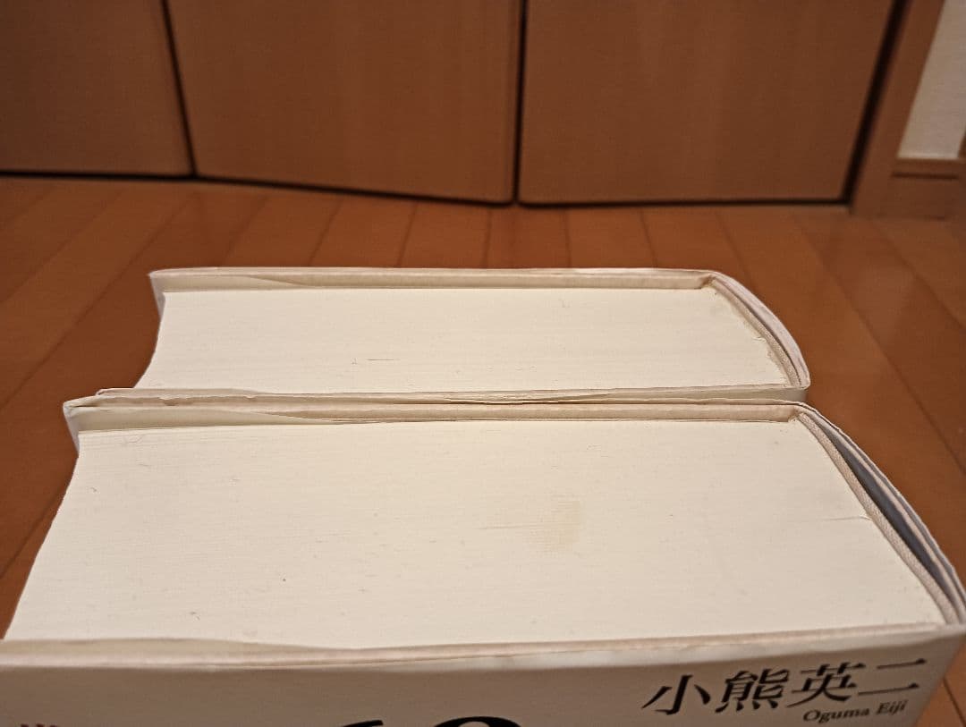 【初版第1刷】1968 上下「若者たちの叛乱とその背景、叛乱の終焉とその遺産」