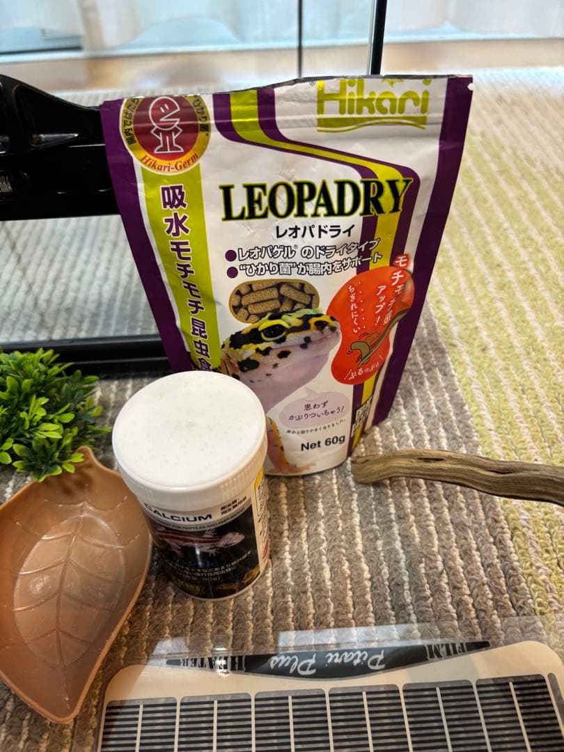 GEX EXOTERRA グラステラリウム3030 飼育ゲージ ガラスケース