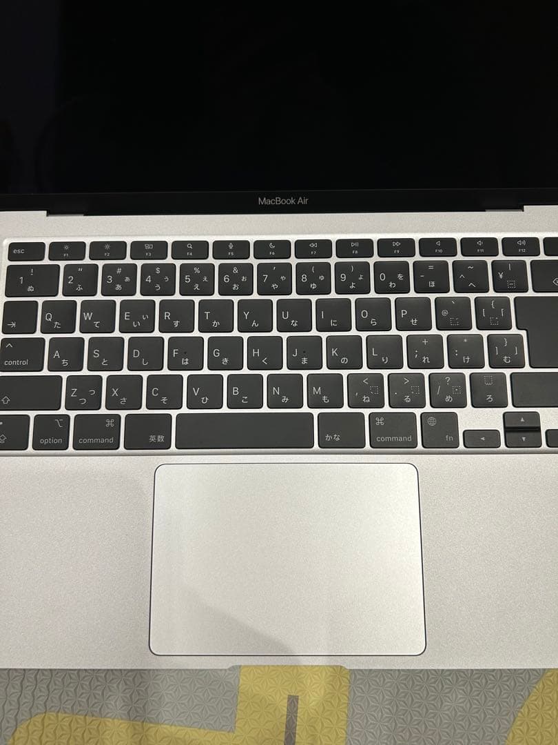 【充放電回数一桁】M1 256GB