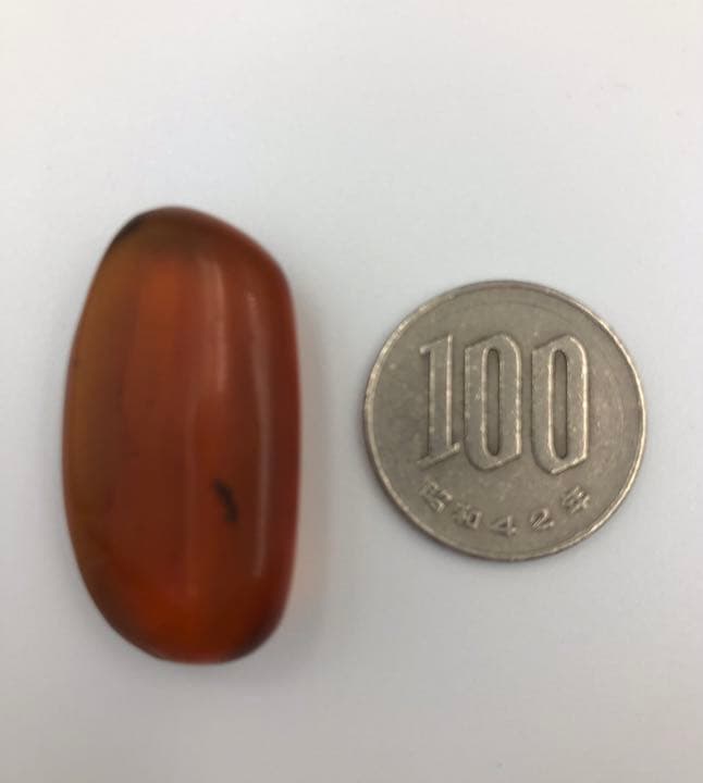 虫琥珀 虫入り アンバー  こはく 天然 ユニーク 天然石 虫入り