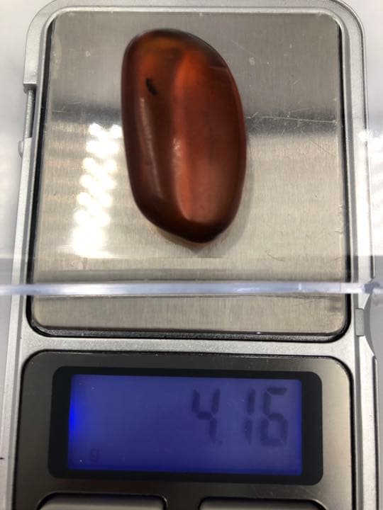 虫琥珀 虫入り アンバー  こはく 天然 ユニーク 天然石 虫入り