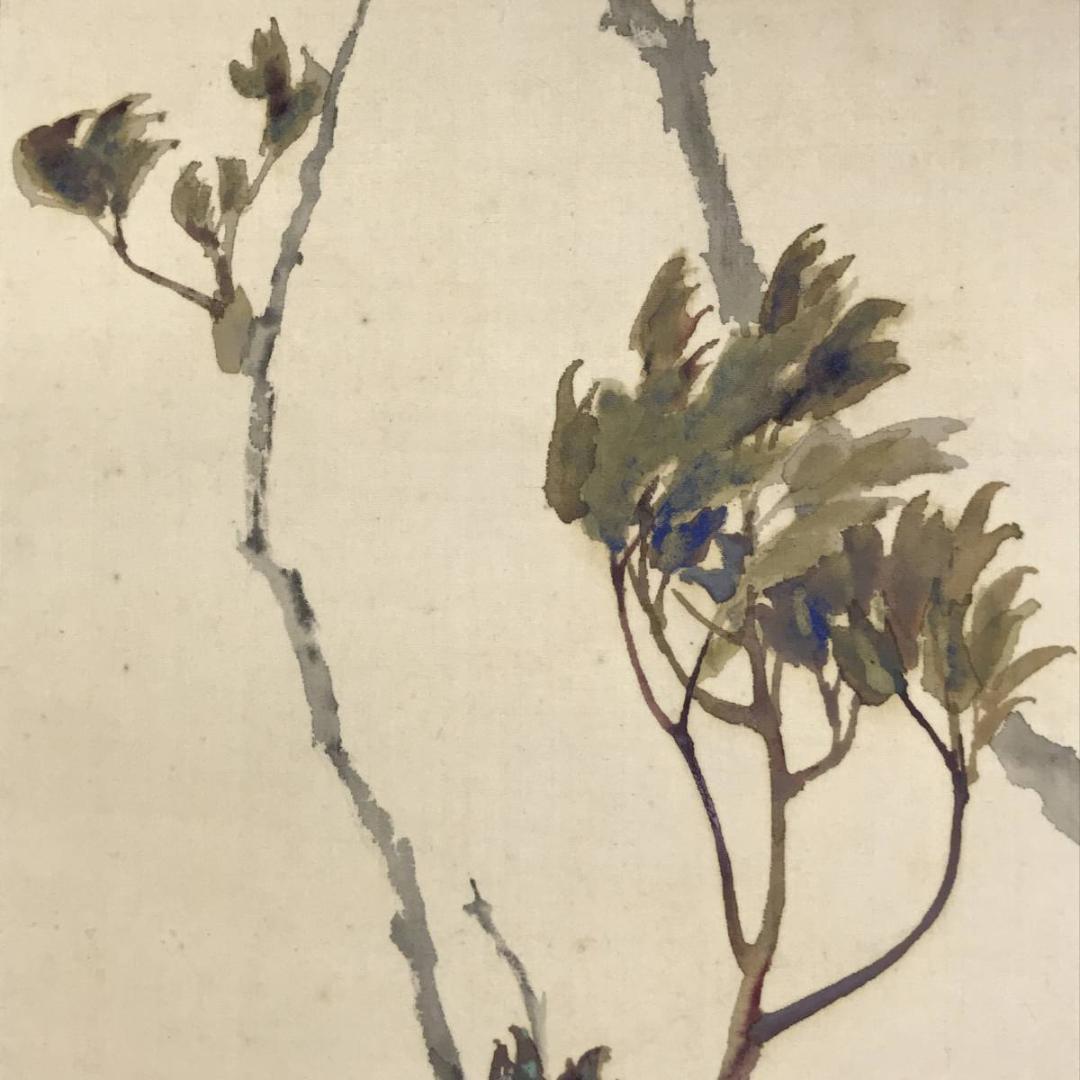 【真作】藤井松山/芽牡丹図/牡丹図/花図/横物/掛軸☆宝船☆AD-454