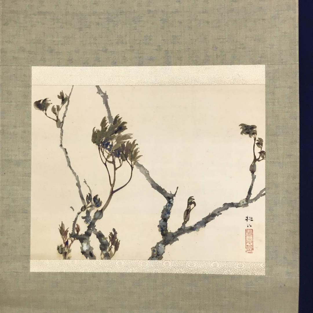 【真作】藤井松山/芽牡丹図/牡丹図/花図/横物/掛軸☆宝船☆AD-454