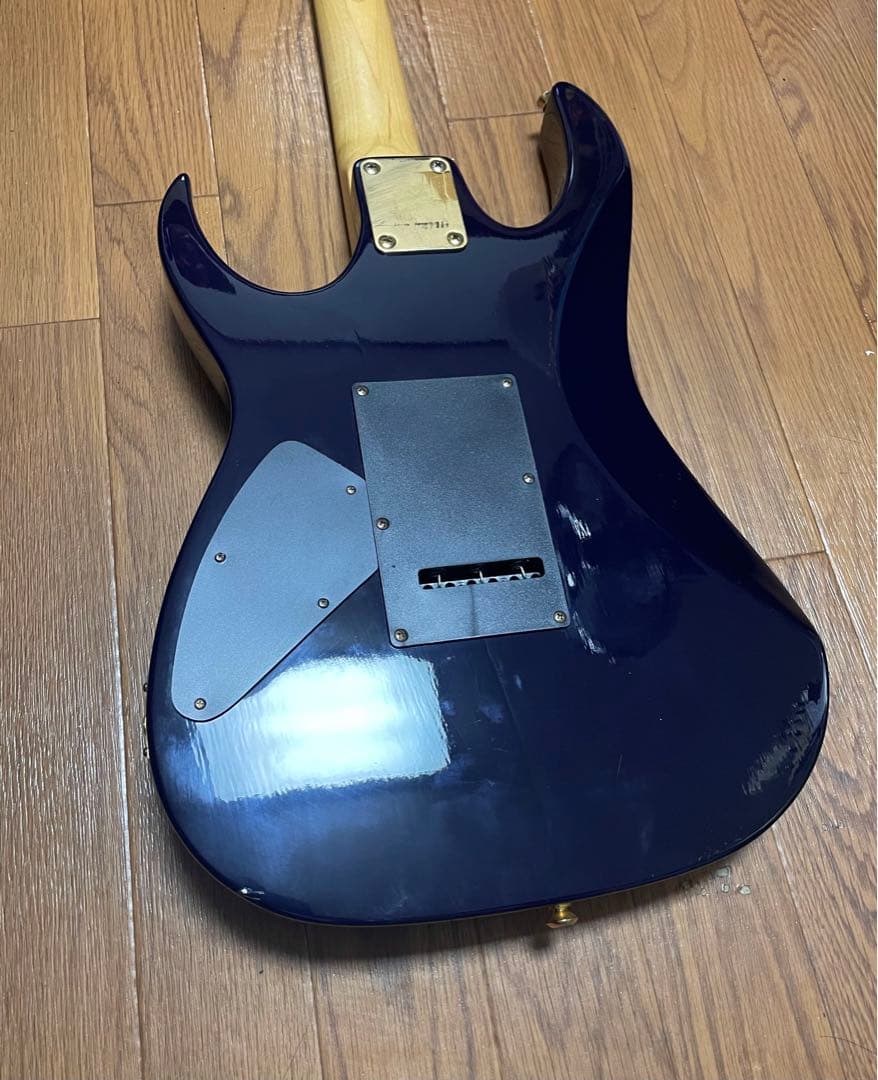 Maison Photogenic ダークパープル ケース付き