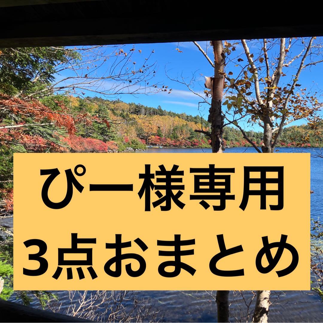 ぴー　3点おまとめ　天然水槽用流木　沈水確認済み