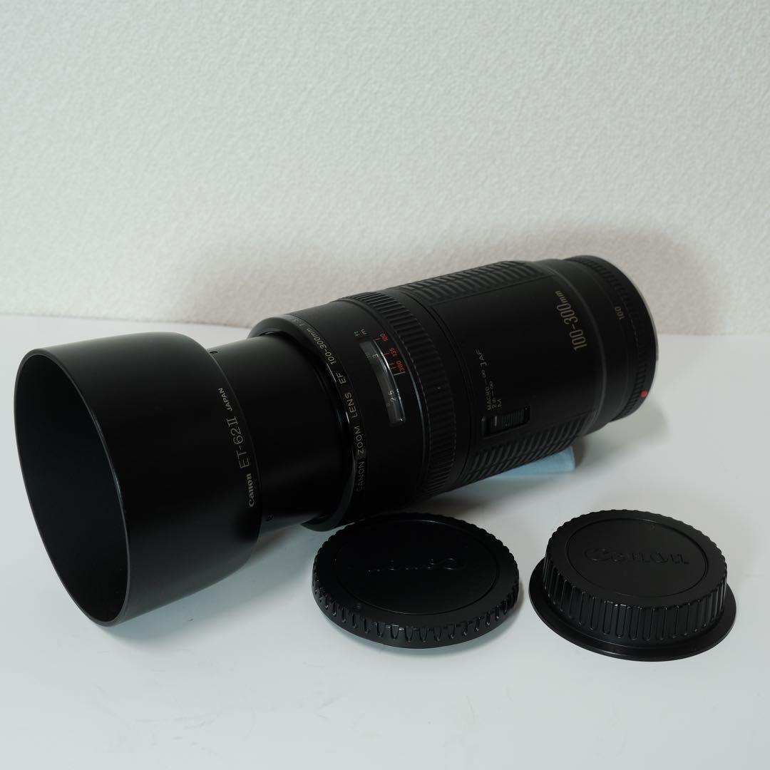 Canon EF 100-300mm F5.6 レンズ