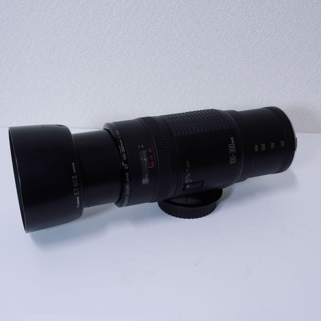 Canon EF 100-300mm F5.6 レンズ