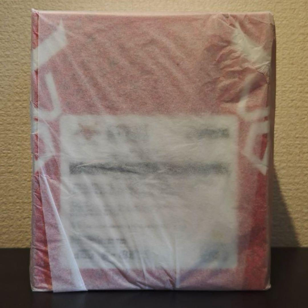 超クウガ展 仮面ライダークウガ ジオラマソフビフィギュア