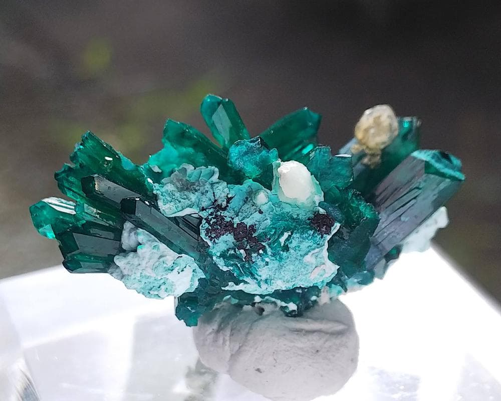 482 ダイオプテーズ 翠銅鉱 クラスター コンゴ産