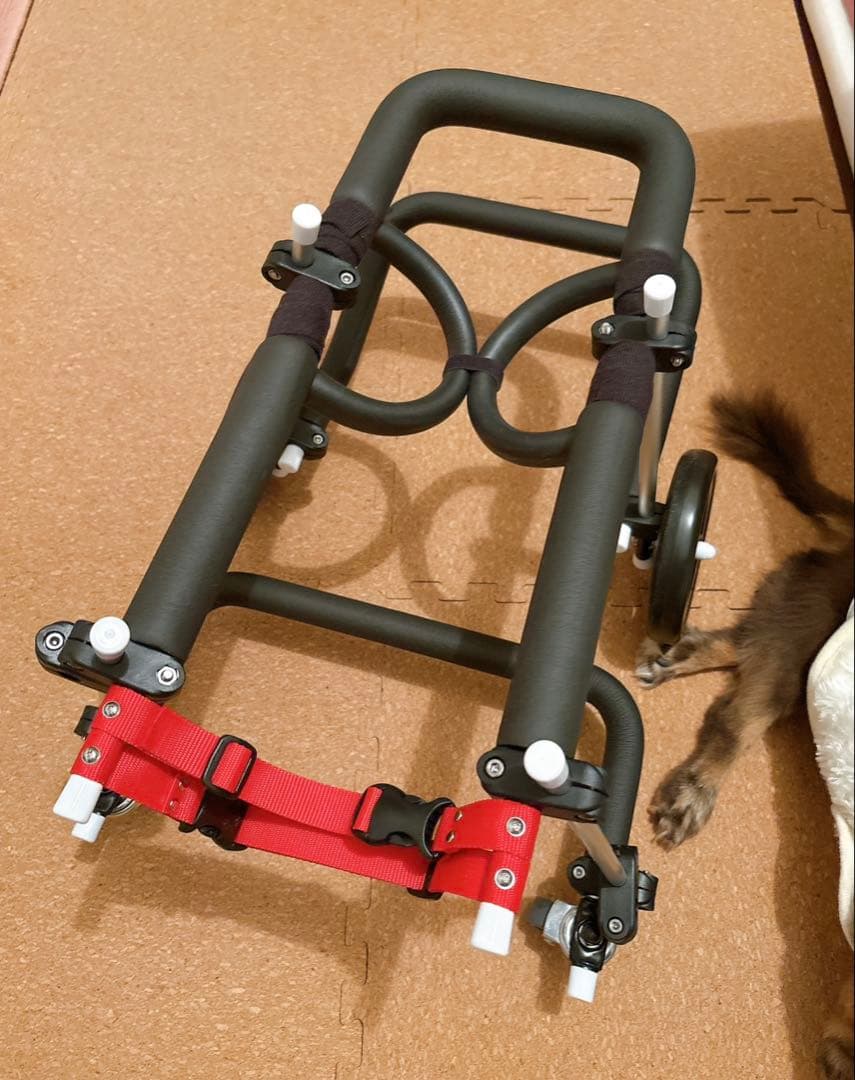 処分 歩犬舎 小型犬用 オーダーメイド 4輪車いす 四輪 4輪 車いす 車椅子