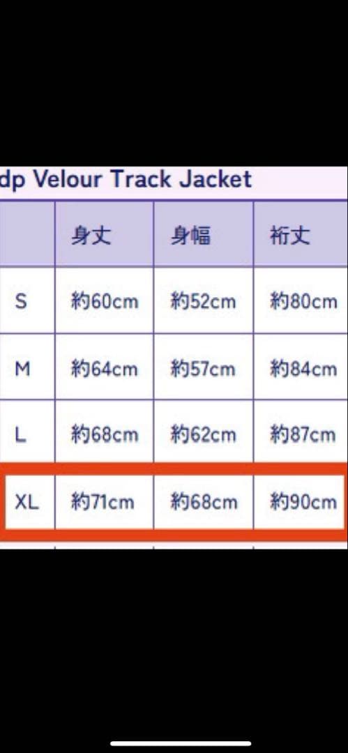 龍宮城　ジャージ上下XL