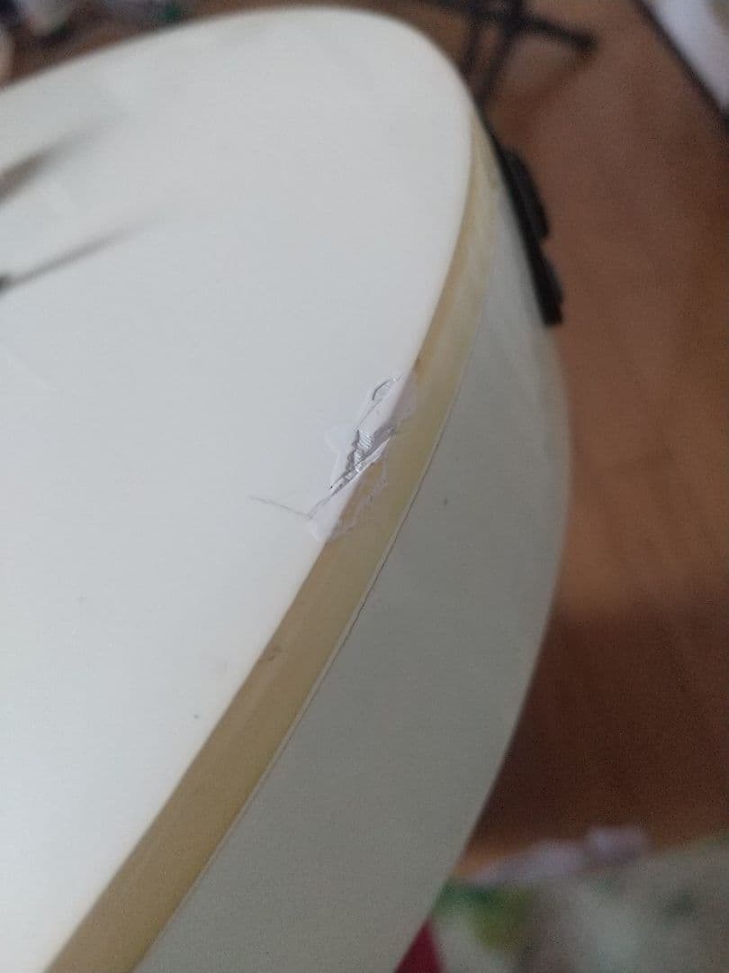 FERNANDES TE70？75-BT BUCK-TICK f.g.i pu