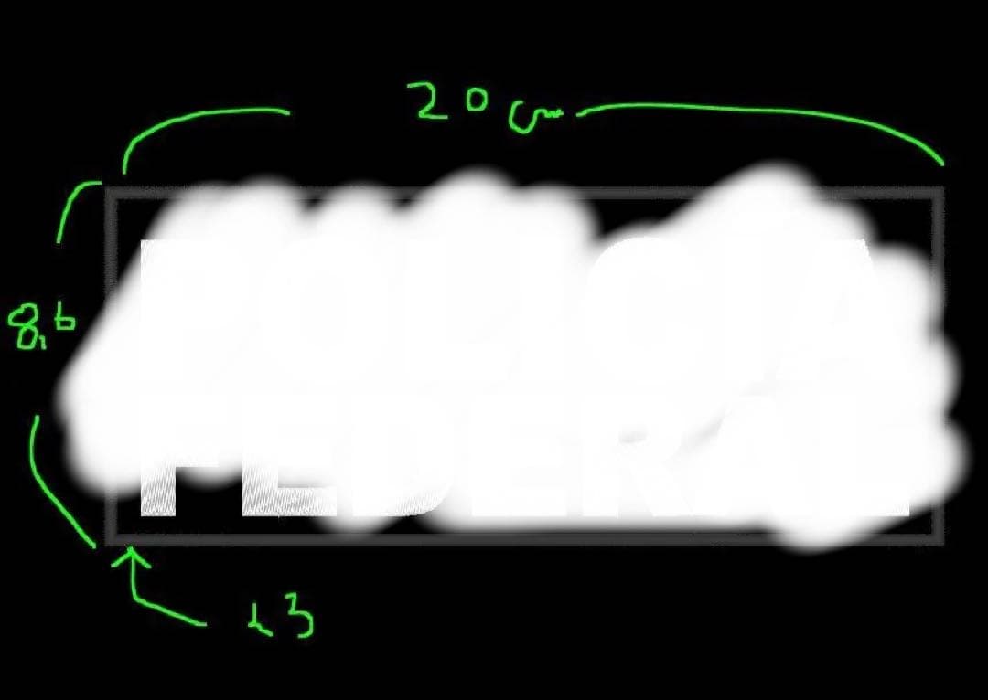 オリジナル　ベルクロタイプ各一枚