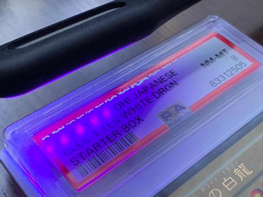 遊戯王 初期 青眼の白龍 PSA8