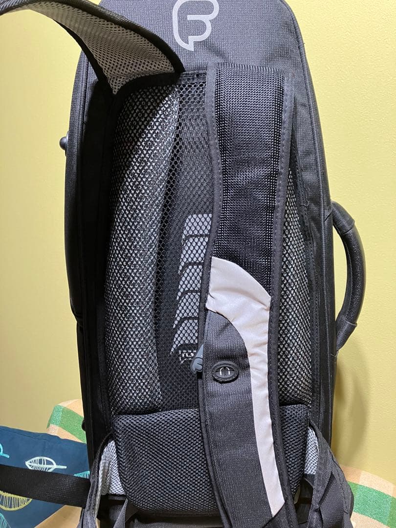 フュージョン　ソフトケースアルトサックス