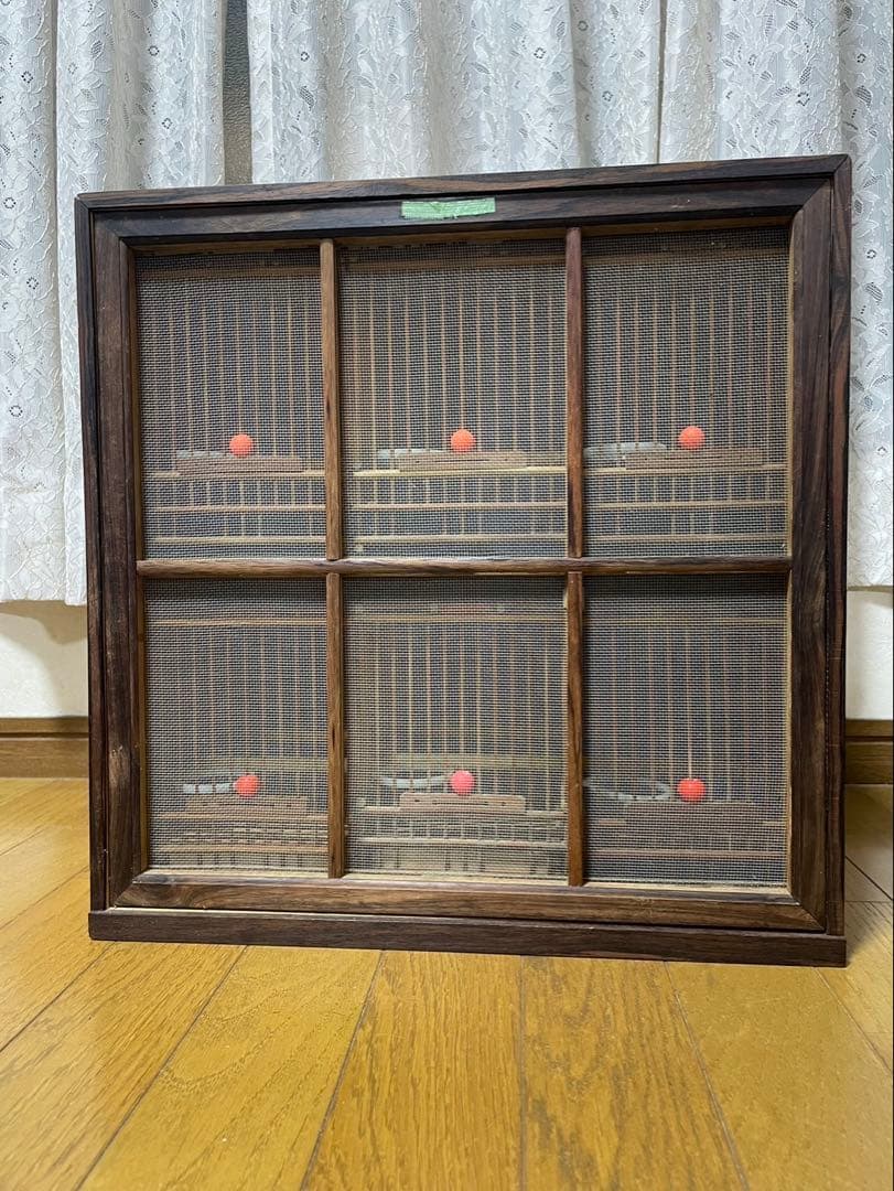 メジロカゴ６個とケース