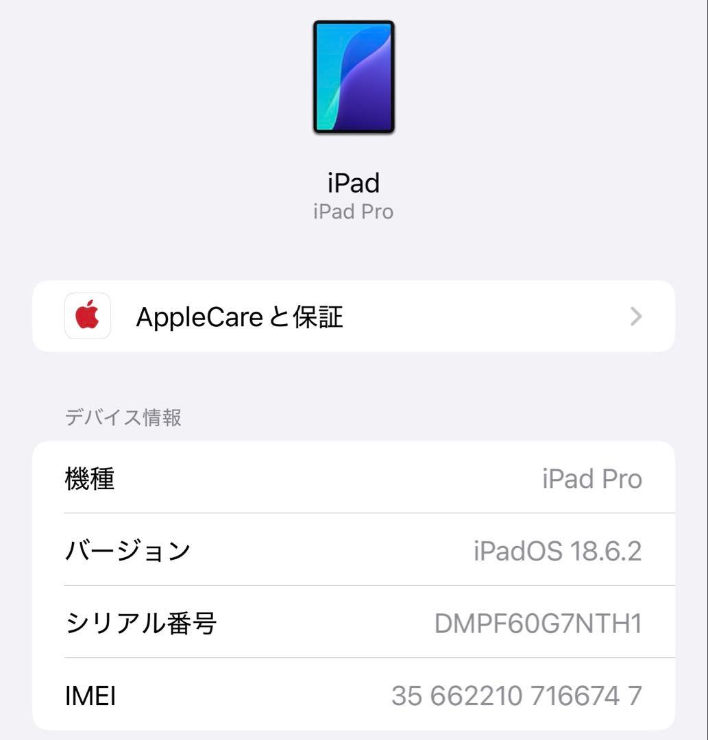 iPadPro(第2世代)11インチ 256GB Wi-Fi+Cellular