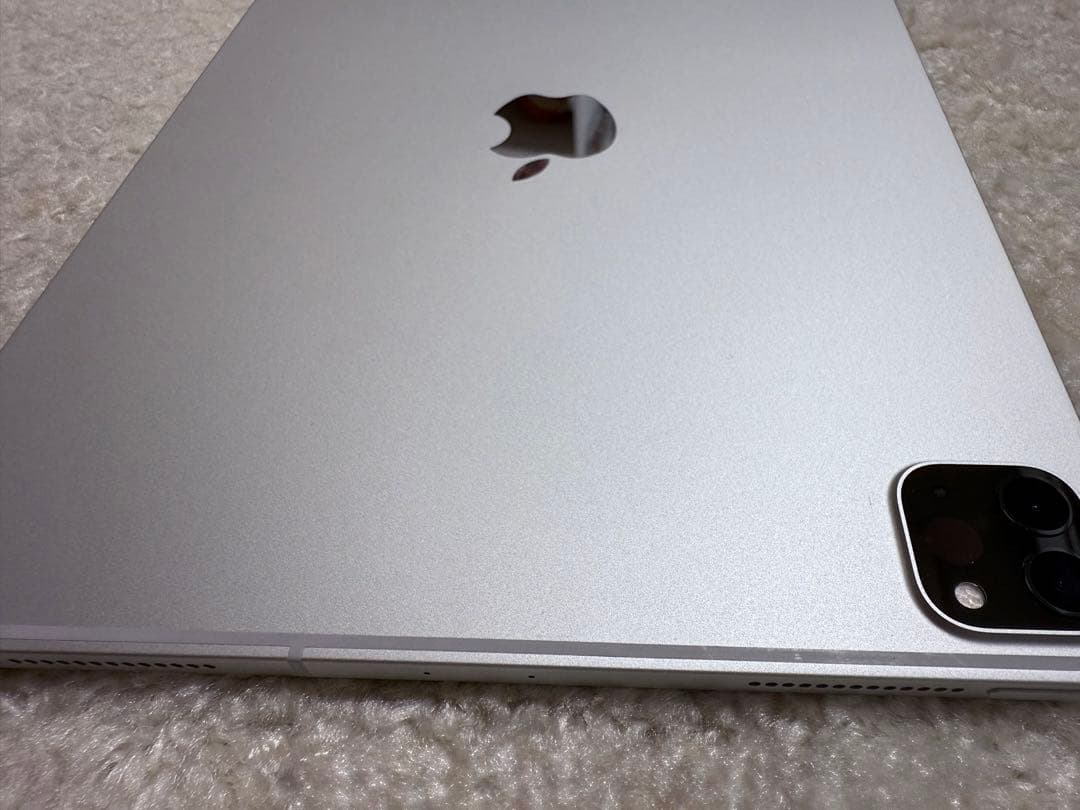 iPadPro(第2世代)11インチ 256GB Wi-Fi+Cellular