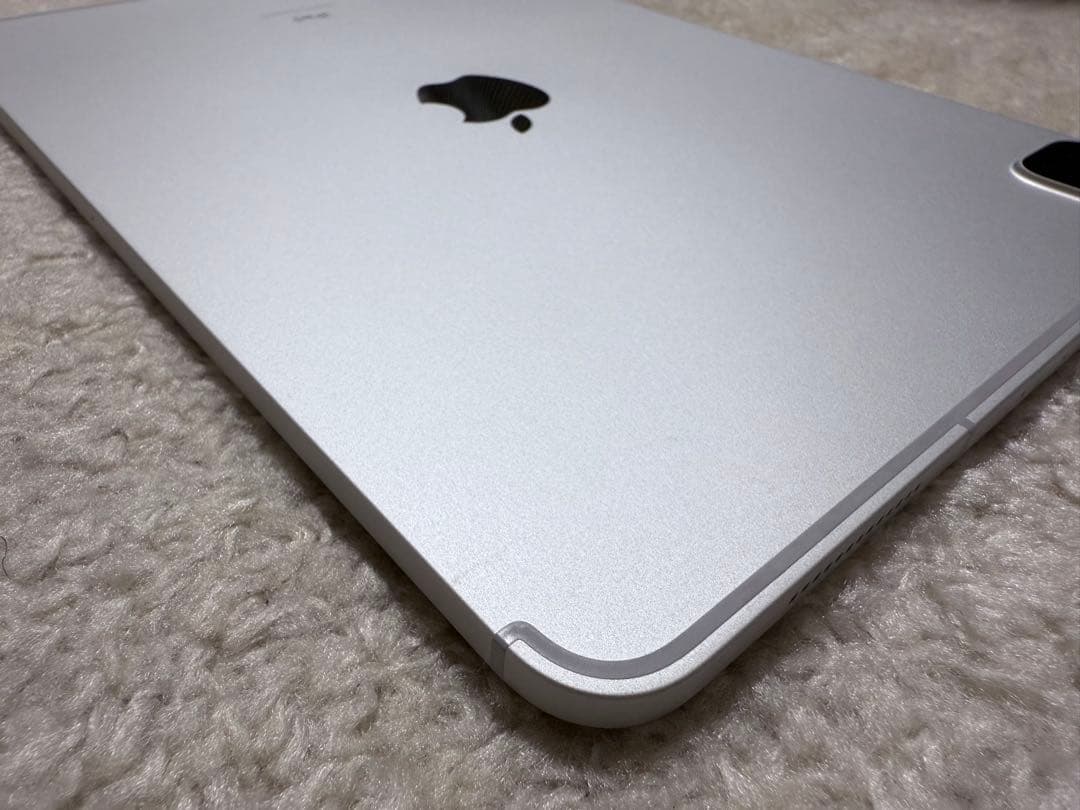 iPadPro(第2世代)11インチ 256GB Wi-Fi+Cellular