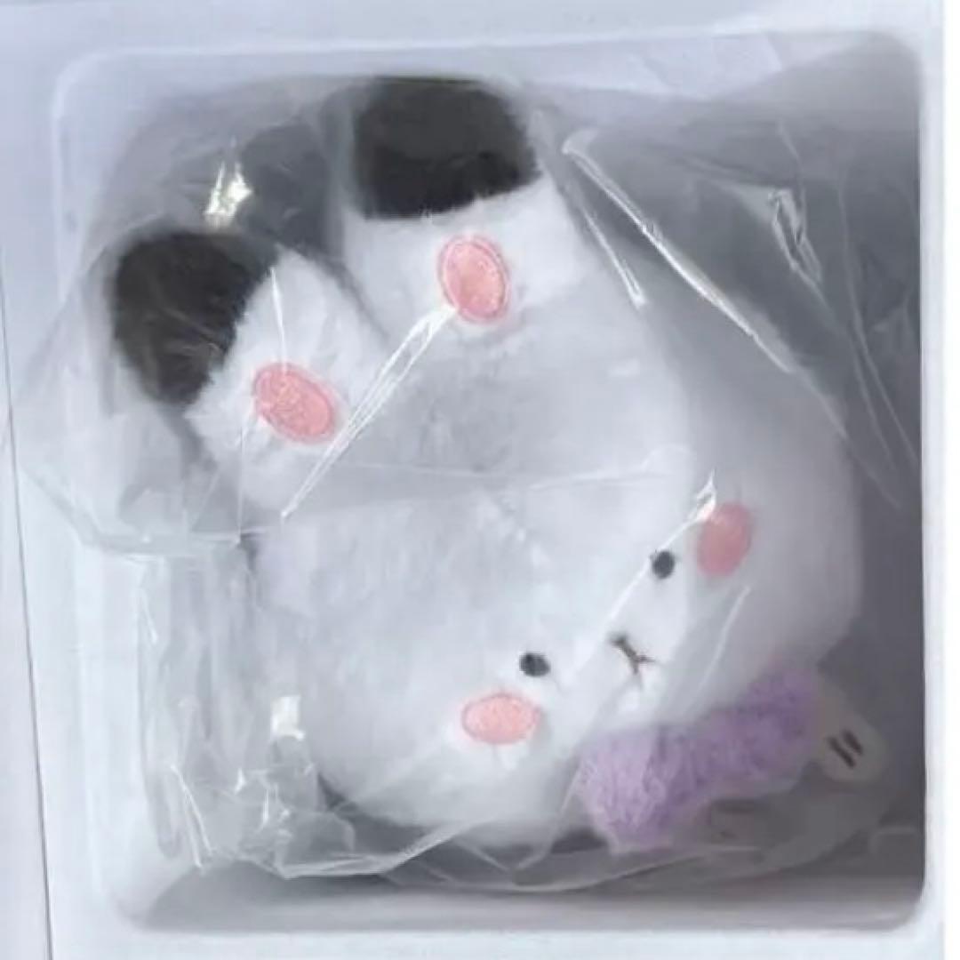 【恋と深空】2024年度VIPギフトボックス セイヤ／レイセット