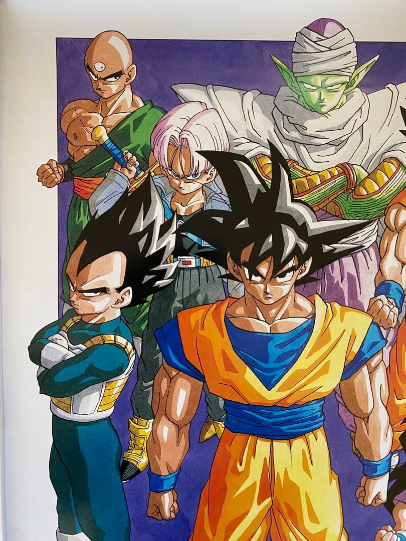 【激レア】額装品　ドラゴンボール　イラスト大D 鳥山明　DRAGONBALL