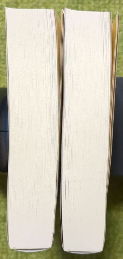 薔薇物語 上下 ギヨーム・ド・ロリス ジャン・ド・マン ちくま文庫 全２巻セット